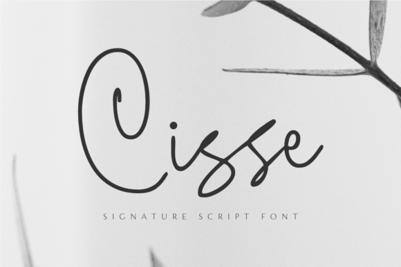 Cisse Script Font for Digital Marketing and Branding