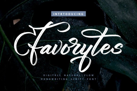 Favorytes: A Script Font That Elevates Editorial Design