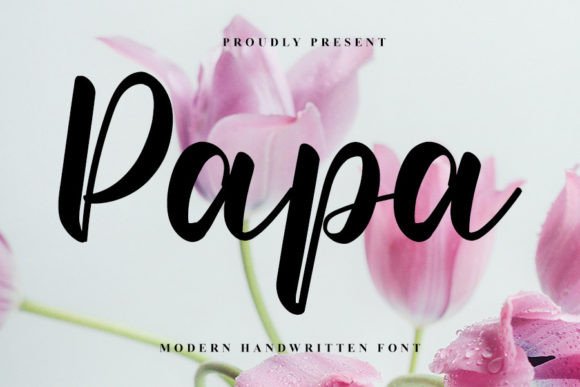 How Papa Font Elevated My Campaign Design Process