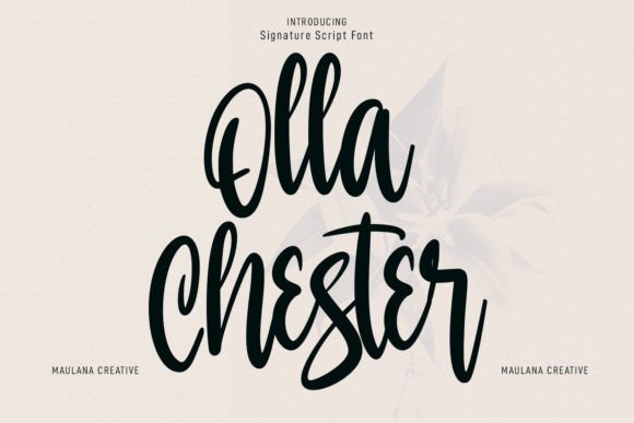 Olla Chester: A Modern Script Font for Elegant Branding