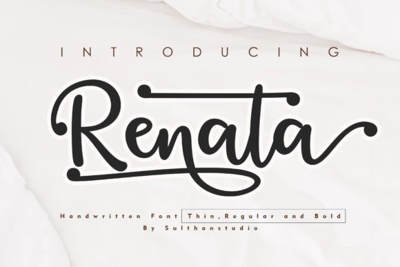 Renata – A Handwritten Font for Modern Web Design