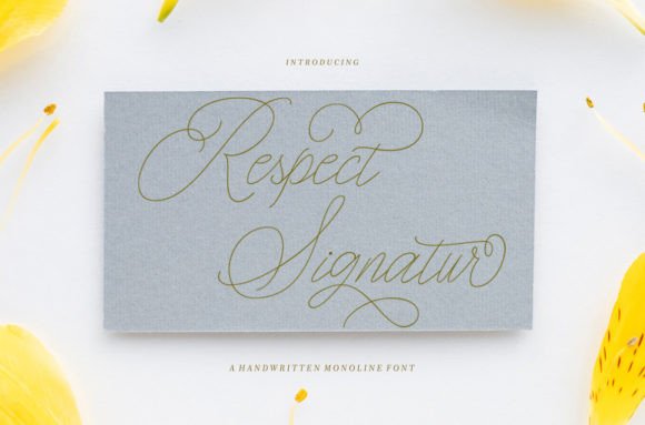 Respect Signature: A Script Font for Thoughtful Design
